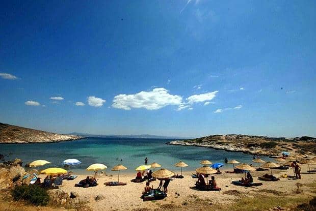 Abundant Marine Life