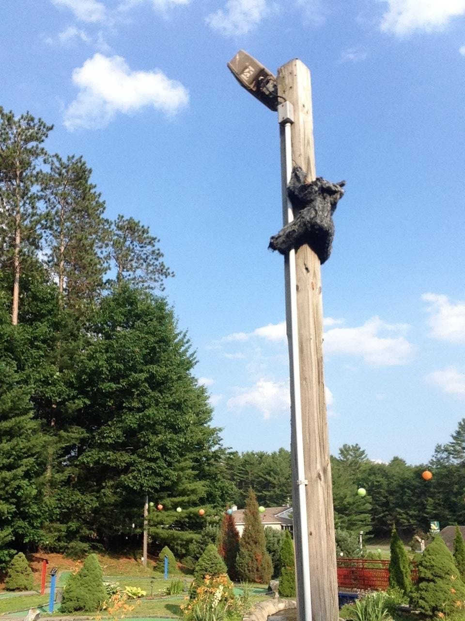 Creepy disgusting "decoration". It's head has been ripped off and it's moldy: gross!