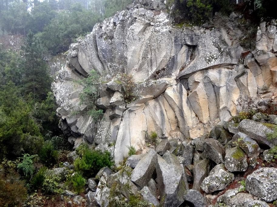 Каменные лепестки