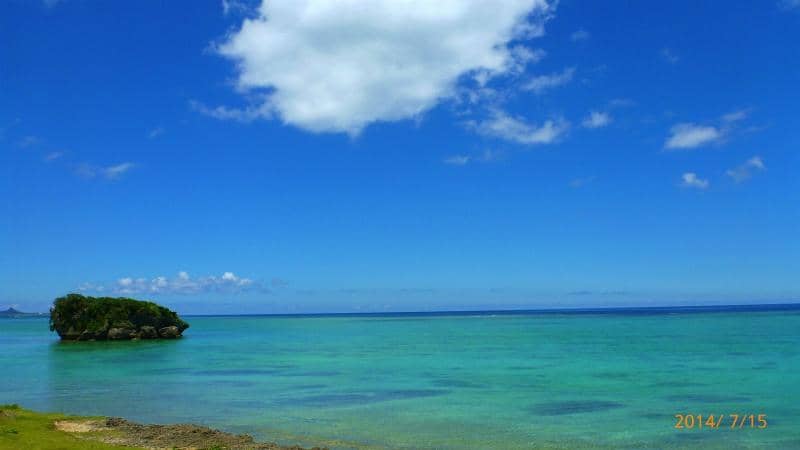 Unique Low Tide Landscape