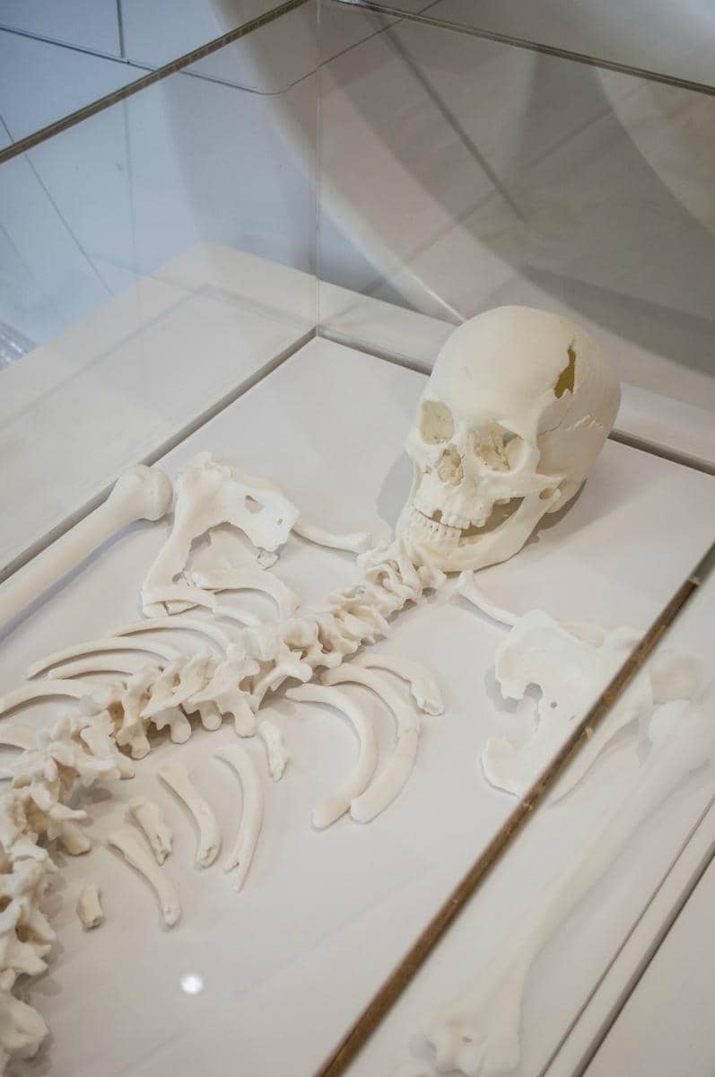 The Grave Discovery Site