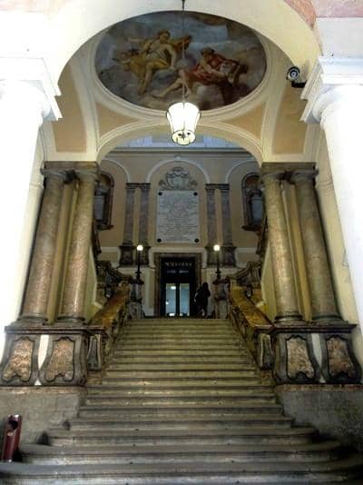 Musical Instrument Collection