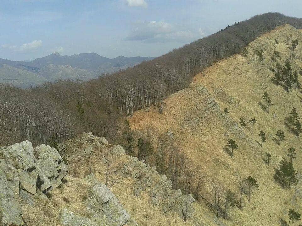 Agoraie Oriented Reserve