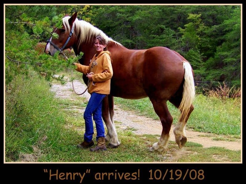 Exotic Animal Encounters