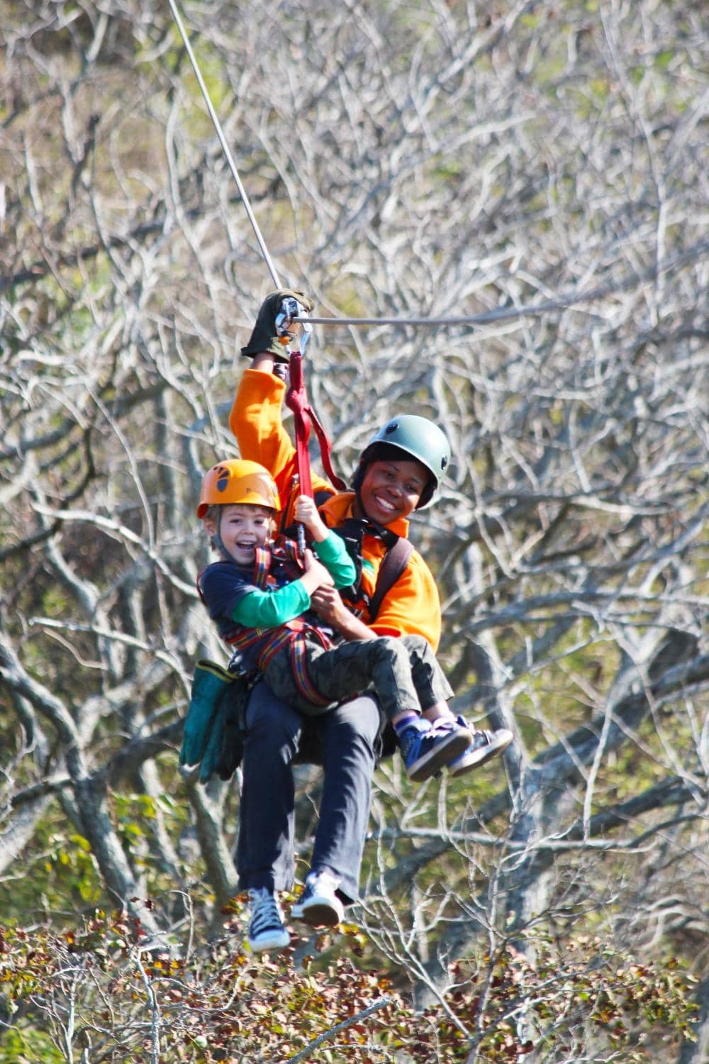 Well-Organized Experience