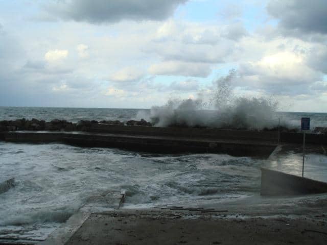 Tranquil Pebble Beach