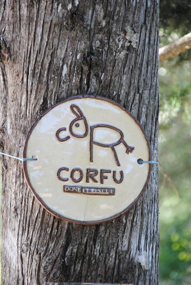 A Haven for All Animals