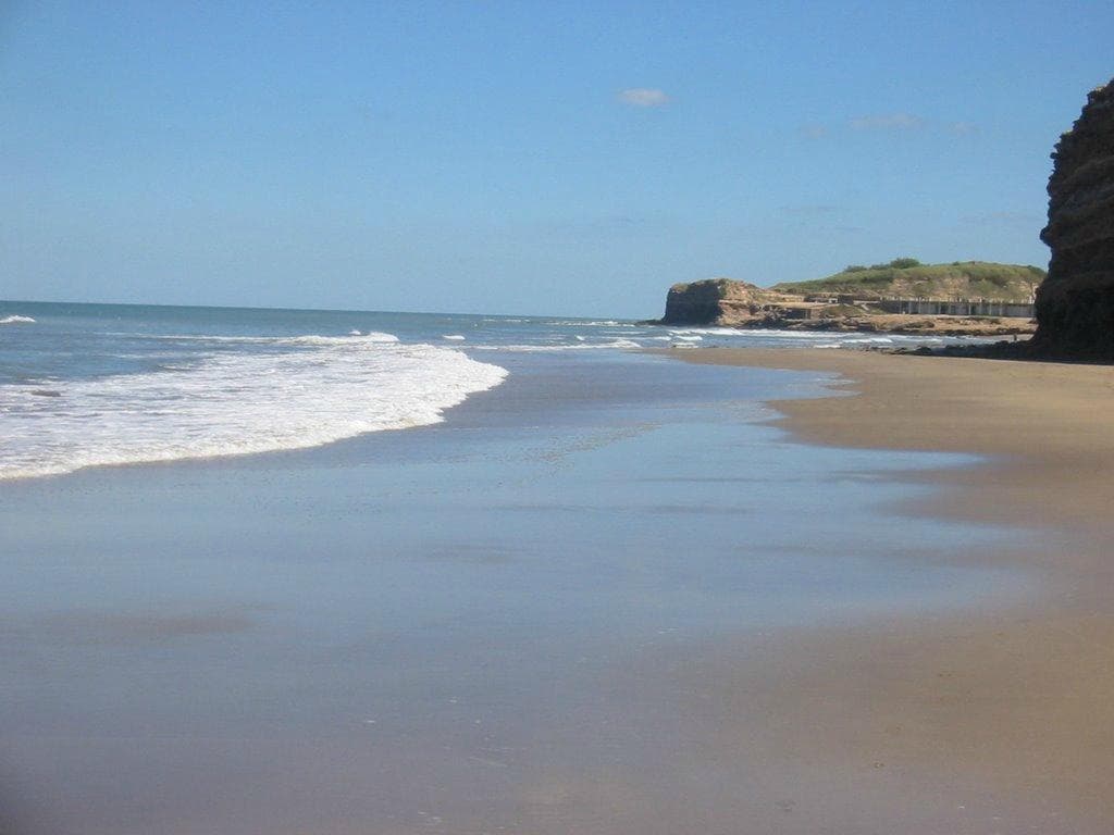 Surf y Playa