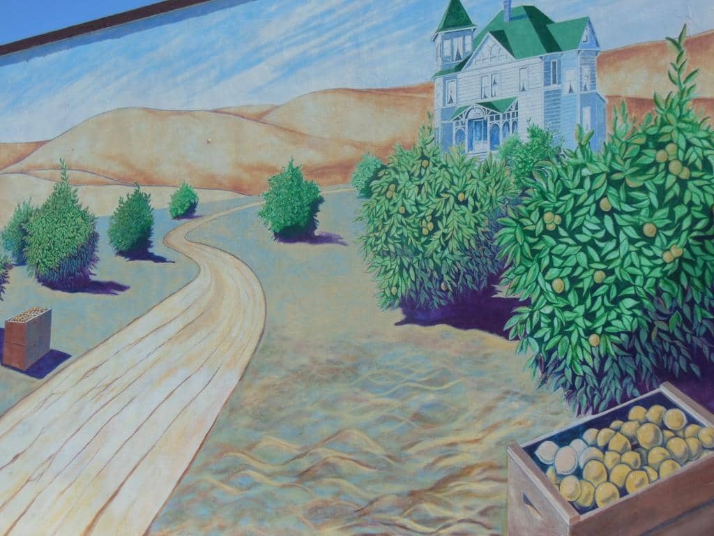 Community Events & Festivals