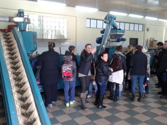 The Olive Oil Tasting