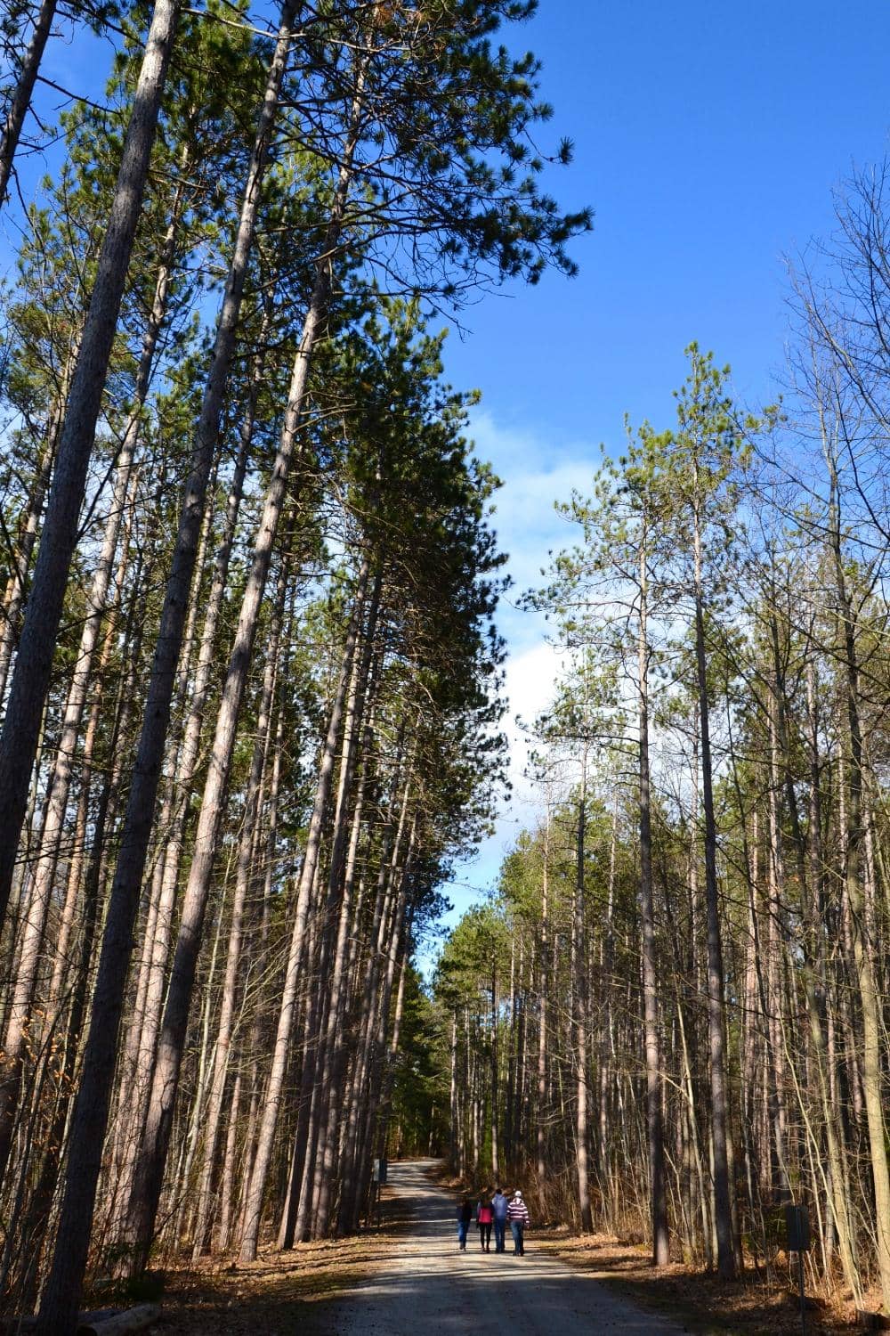 Vertical photo