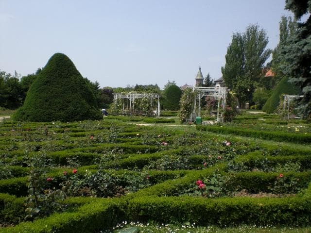 Rosengarten Timisoara