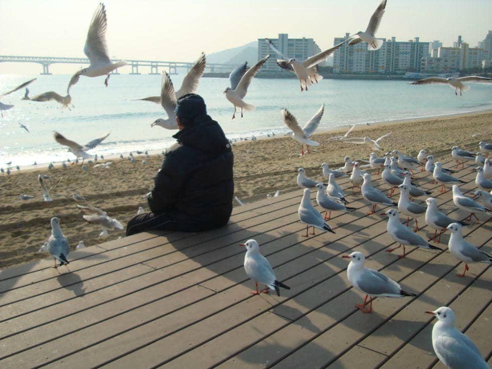 Beachfront Promenade