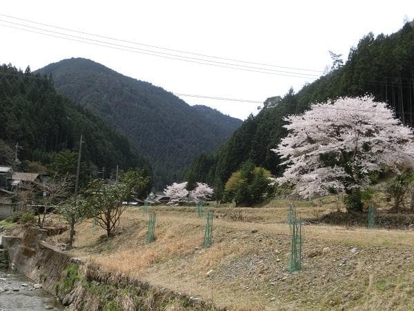 吉野宮滝万葉の道