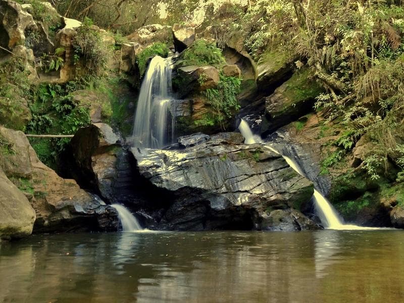 Recompensa depois de um agradável passeio entre trilhas na mata