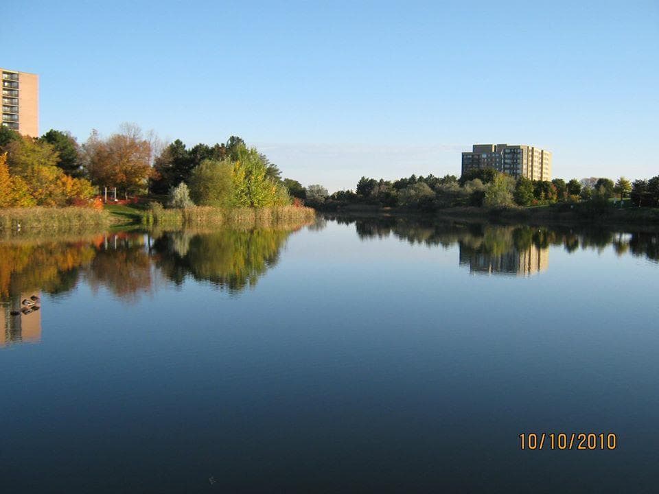 Gorgeous pic of the foliage in the Fall!