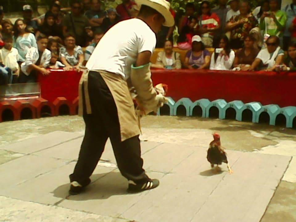 Regional Folklore and Traditions