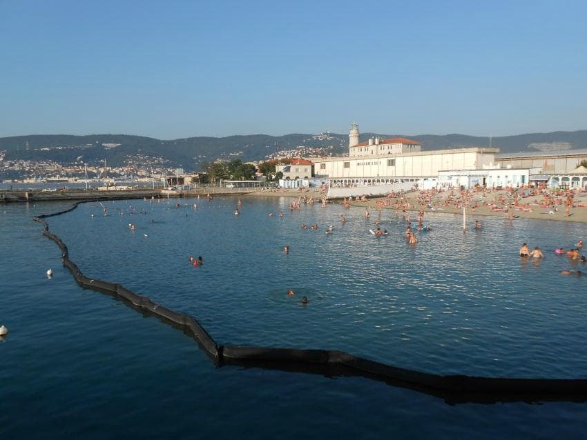 Il pedocin e il suomuro divisorio