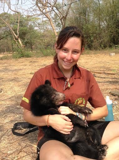 Drive-Through Safari Adventure