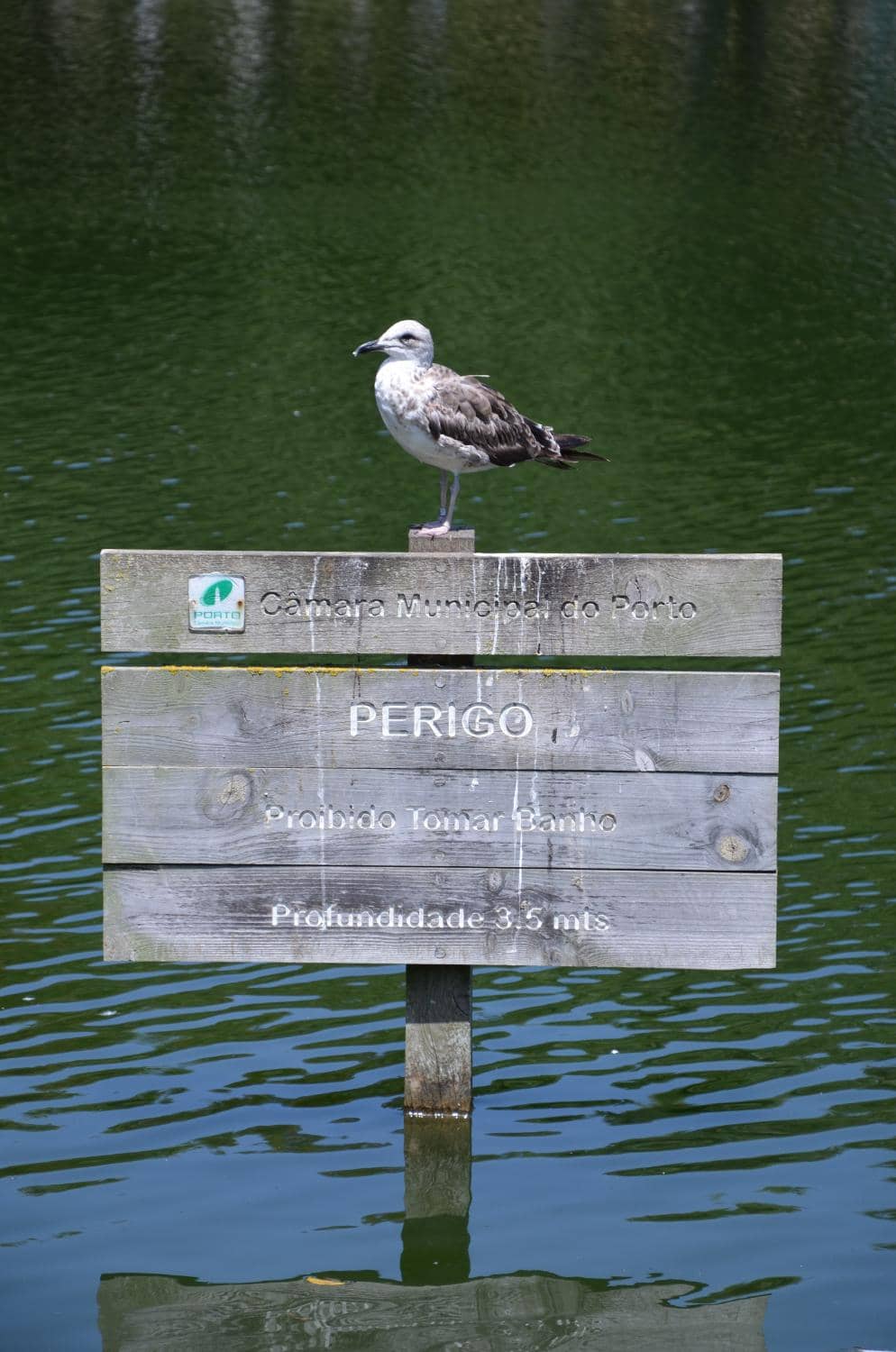 Vertical photo