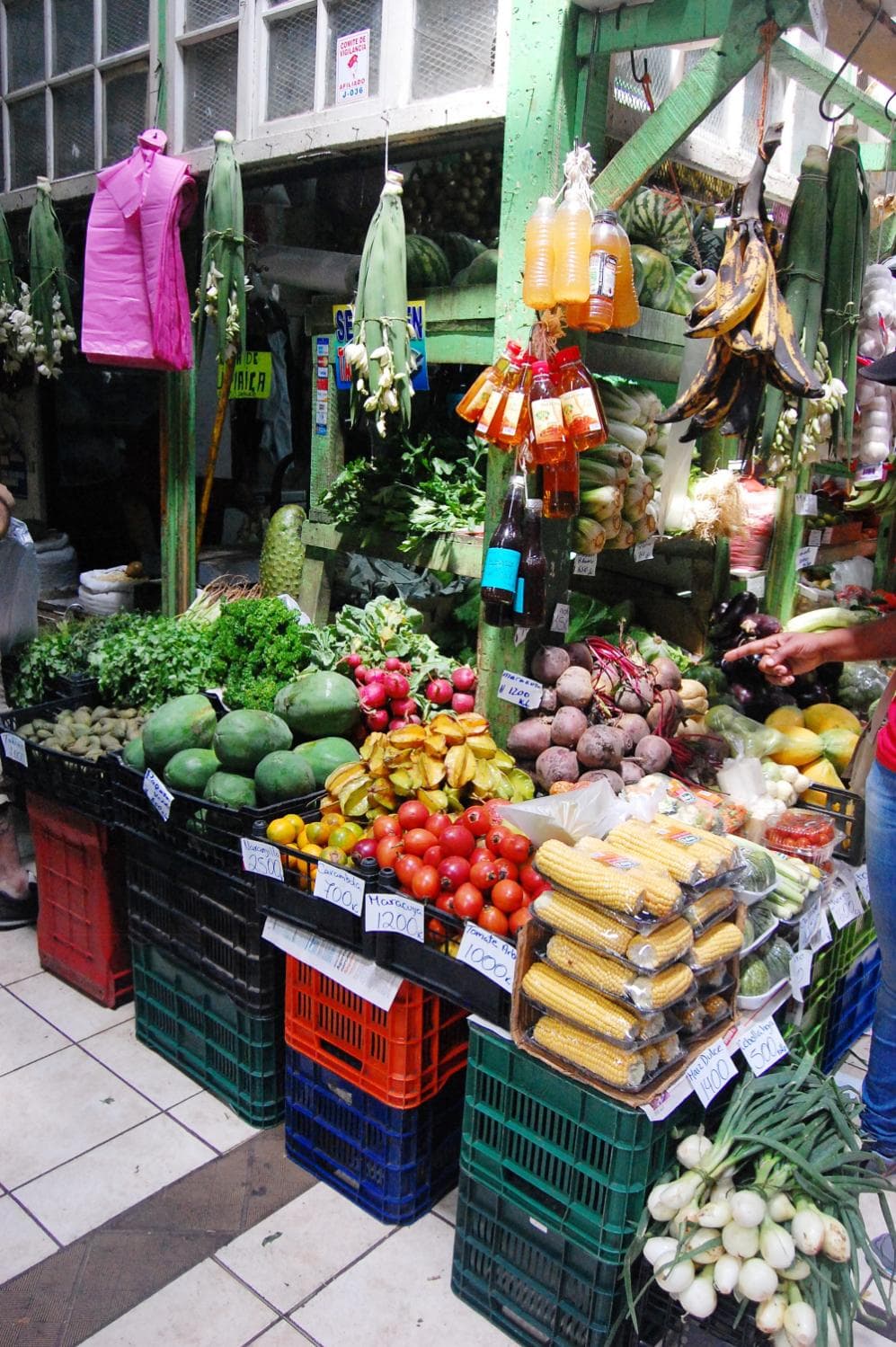 Variada oferta de frutas y verduras