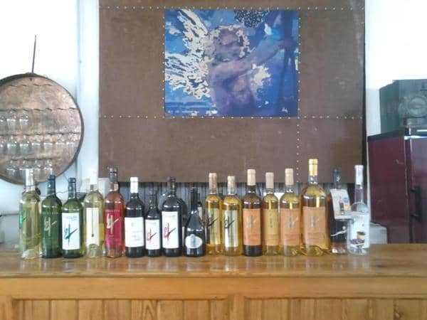 Cellar Under the Volcano