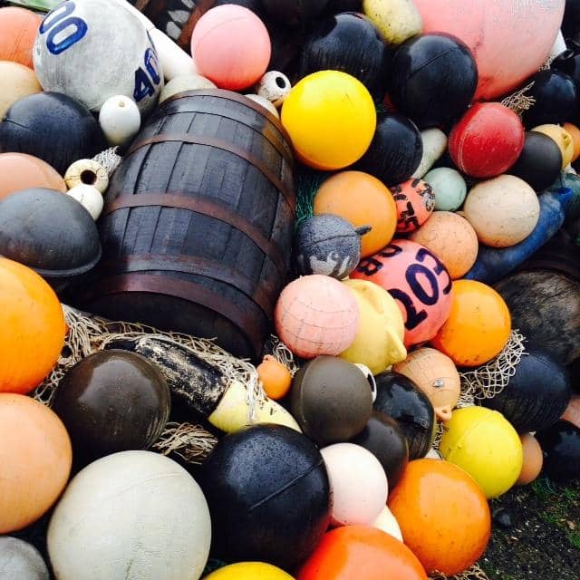 Rotating Local Exhibits