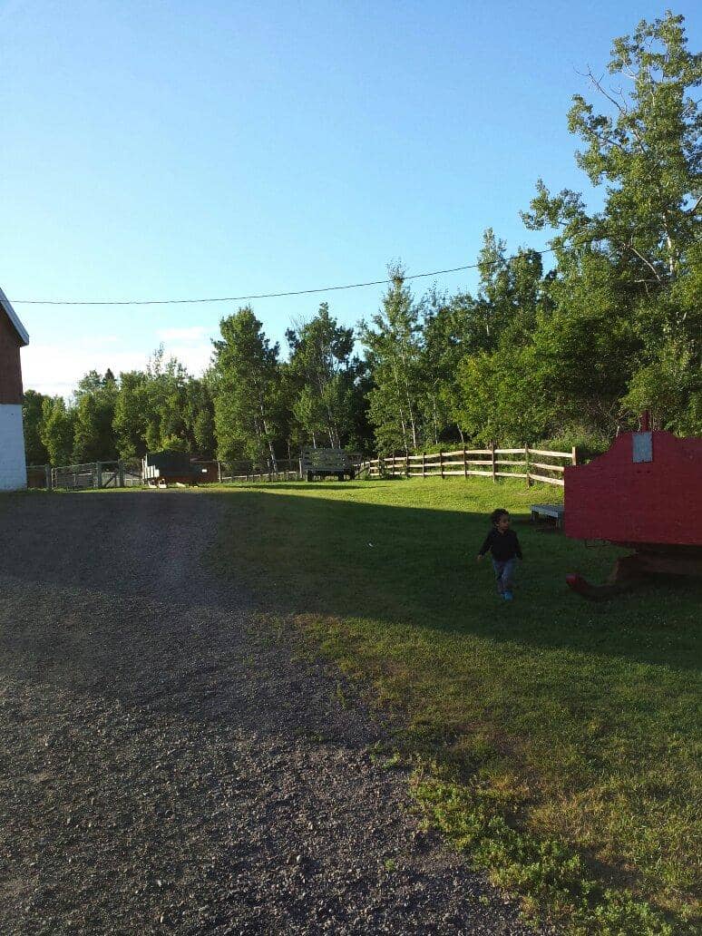 Historical Mining Relics