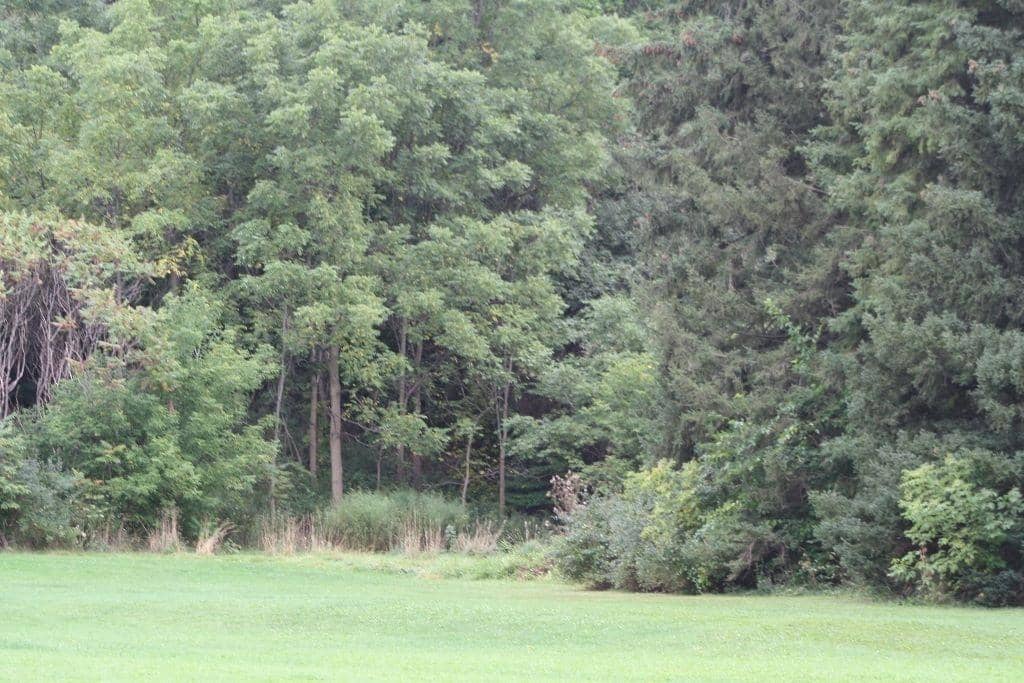 Tranquil Creek Trails
