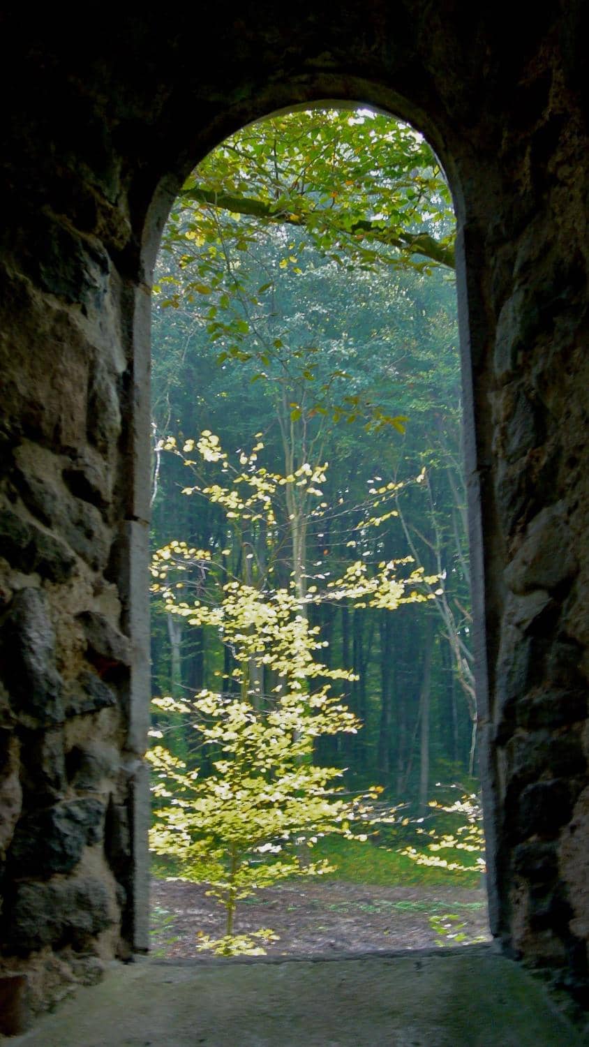 Vertical photo