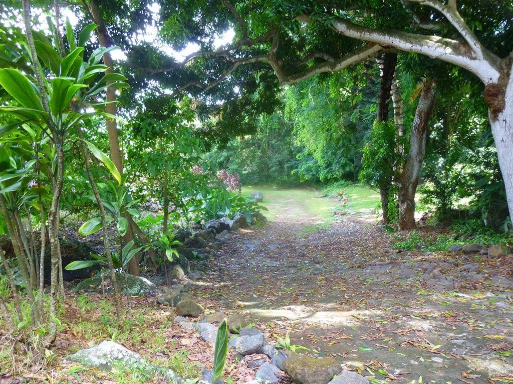 Kawai Nui Marsh Views