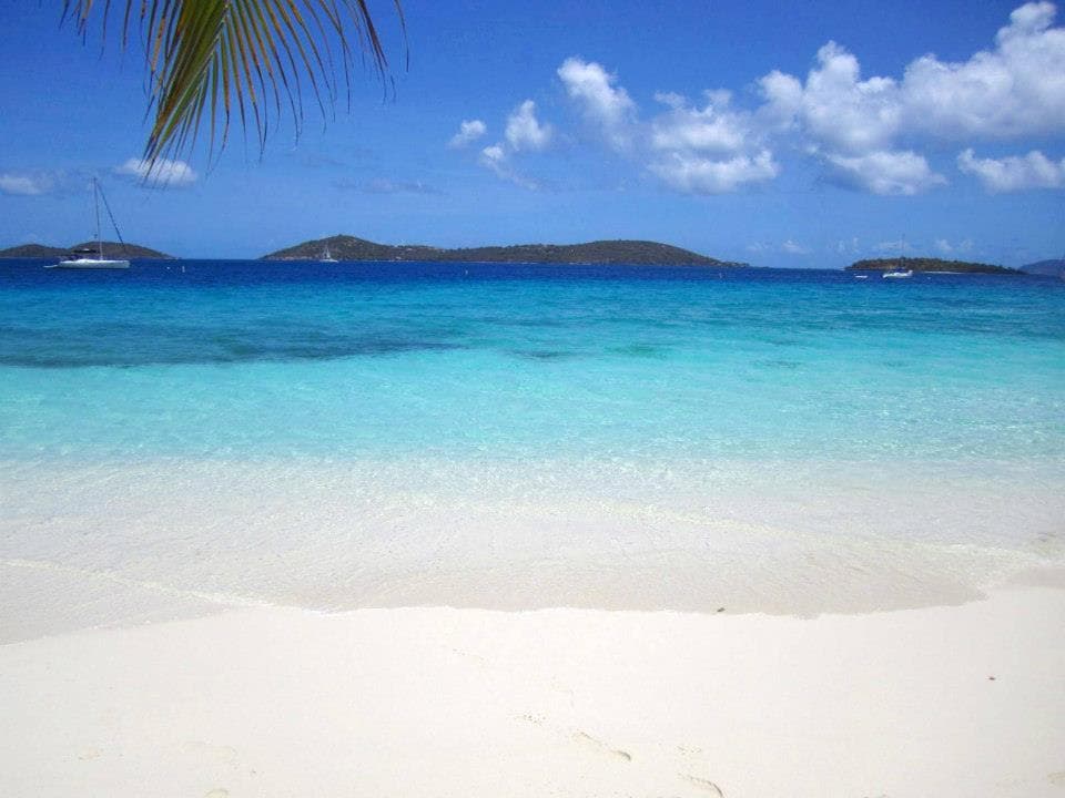 Picture Perfect Beach