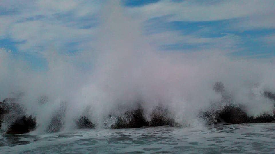 Kamakura's Culinary Delights