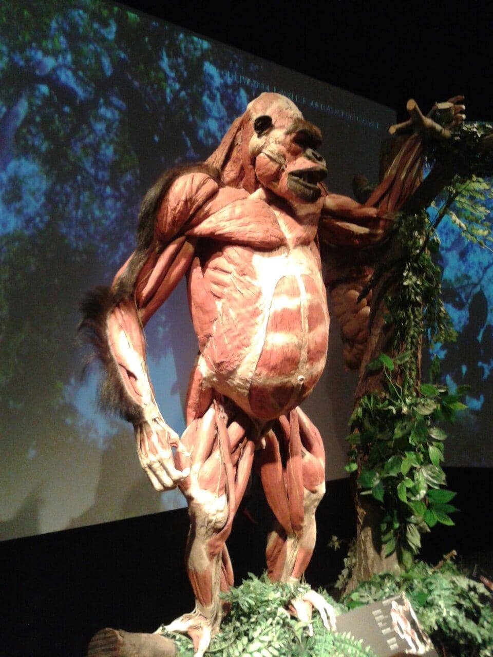 Historic Building & Decor