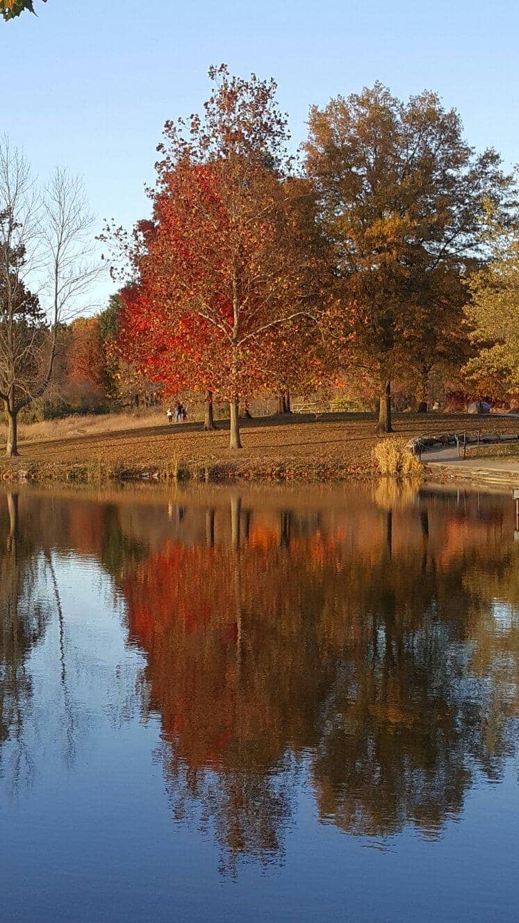 Hiking Trails