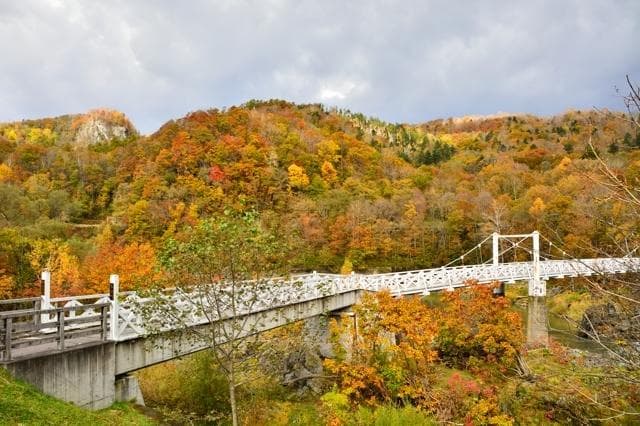 吊り橋を渡って駅舎の方へ