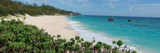 Secluded Coves