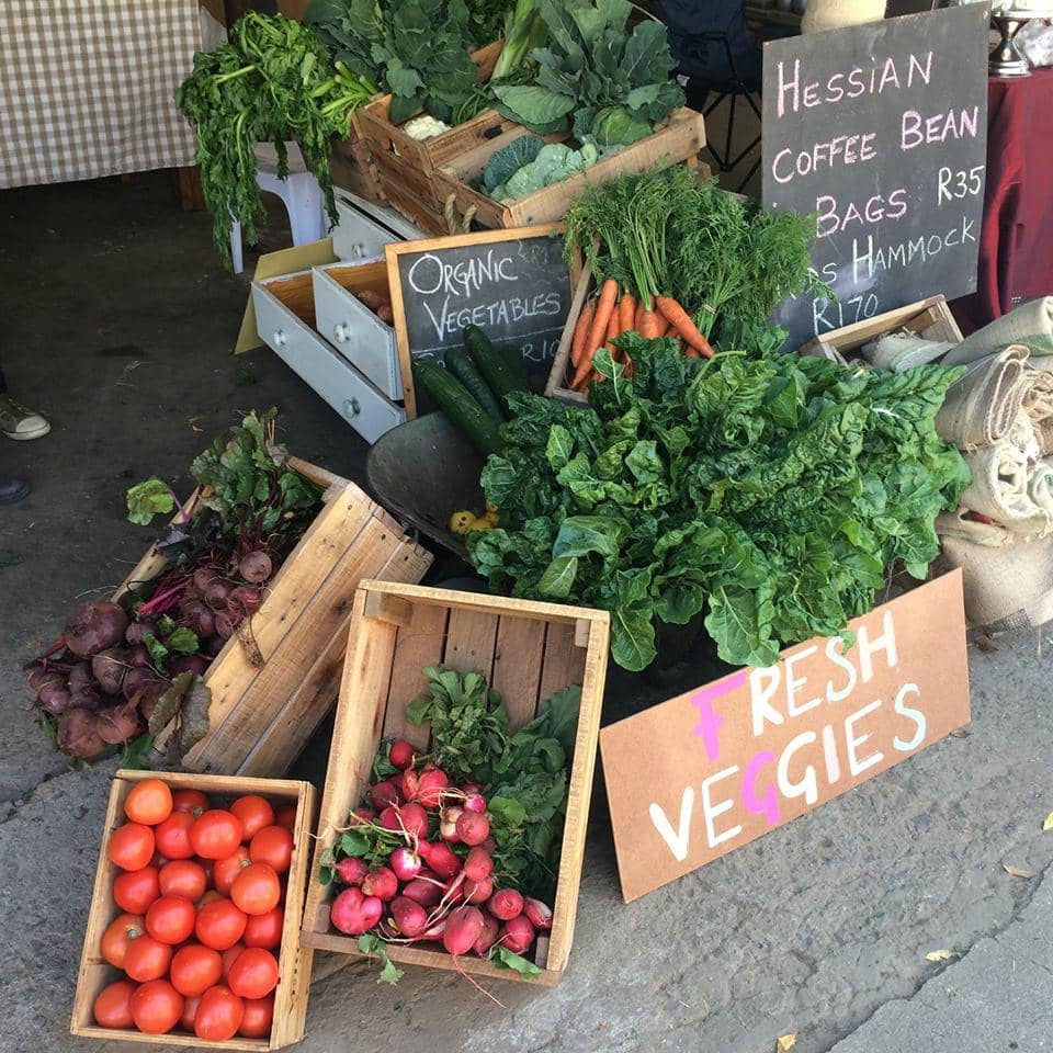 Kid-Friendly Activities