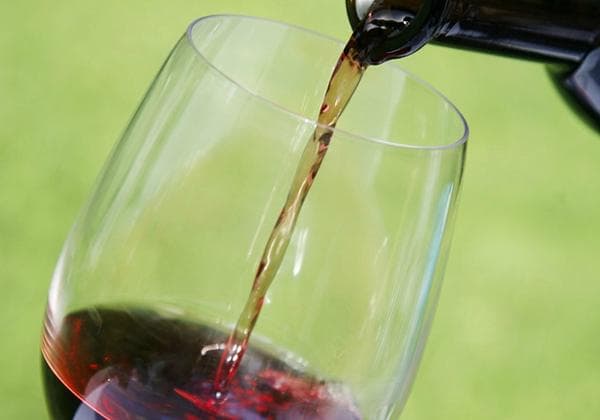 Wine tasting at the estate