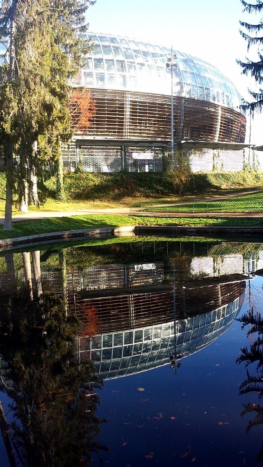 stade depuis le parc