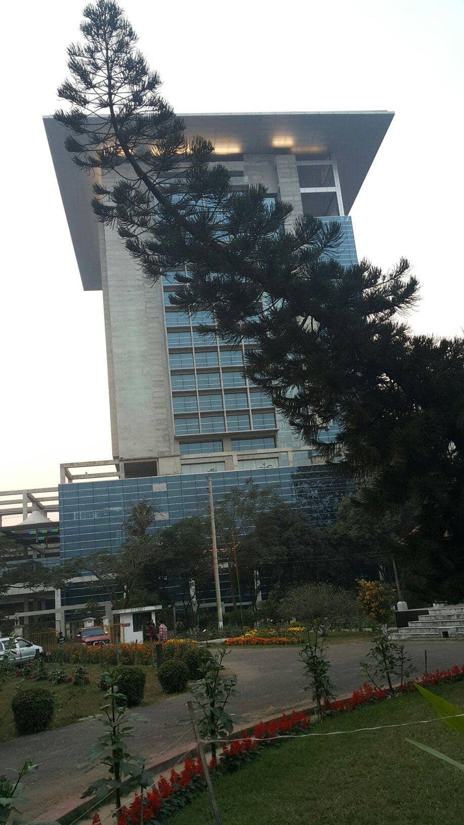 Lush and Soothing Grounds