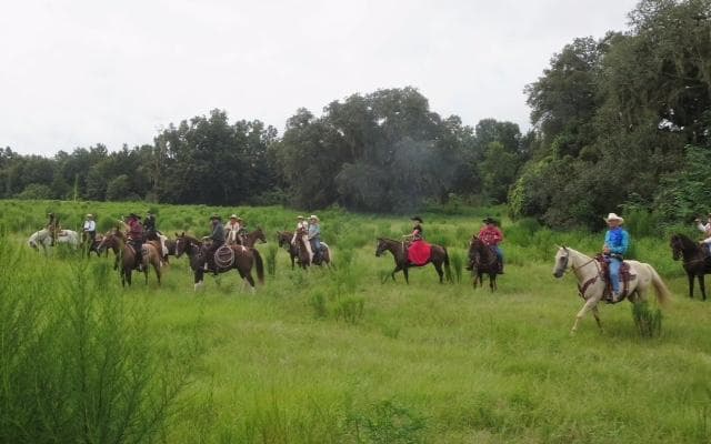 The amazing Peacemakers, Mounted Gun ....Robbing the Six Gun Train