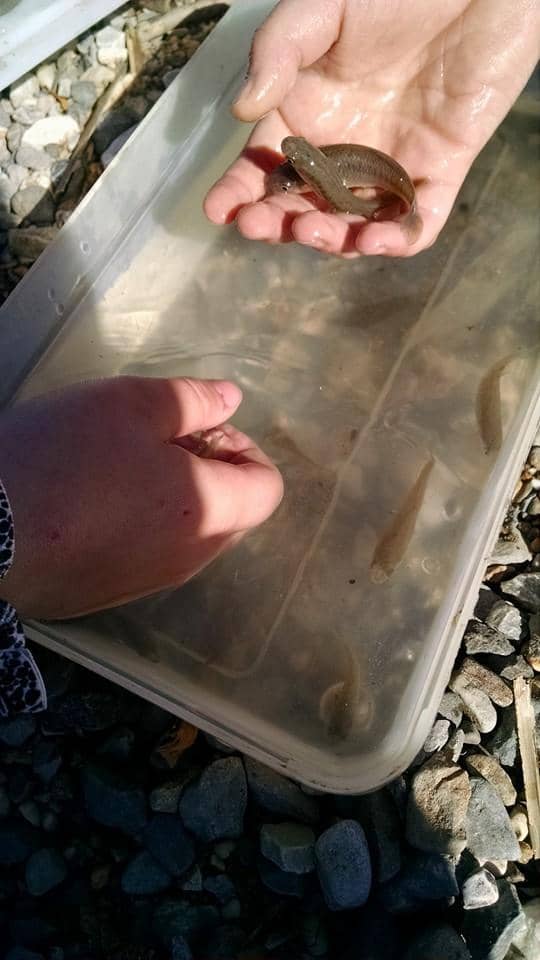 Peaceful Outdoor Nature Space