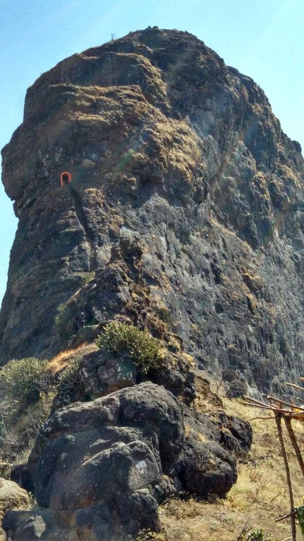 Vertical photo