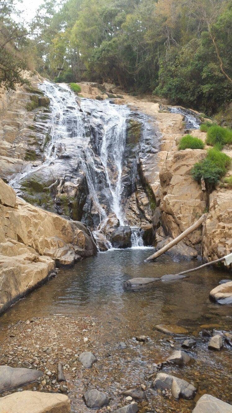 Scenic Jungle Trek