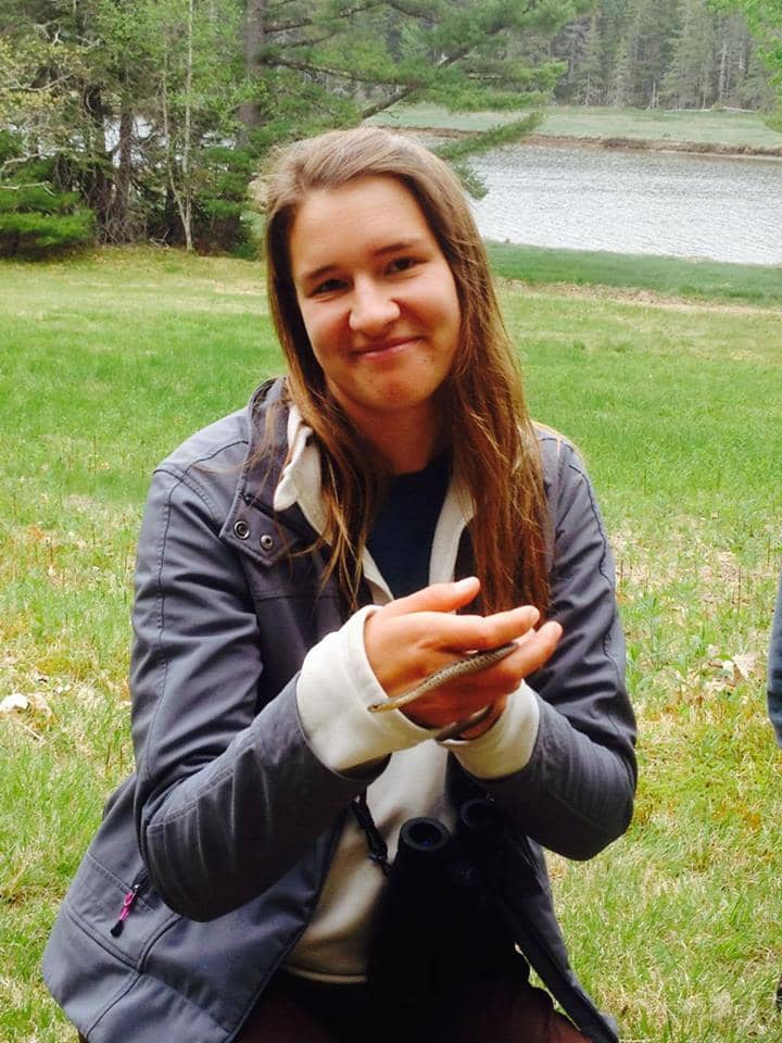 Oceanic Art Showcase