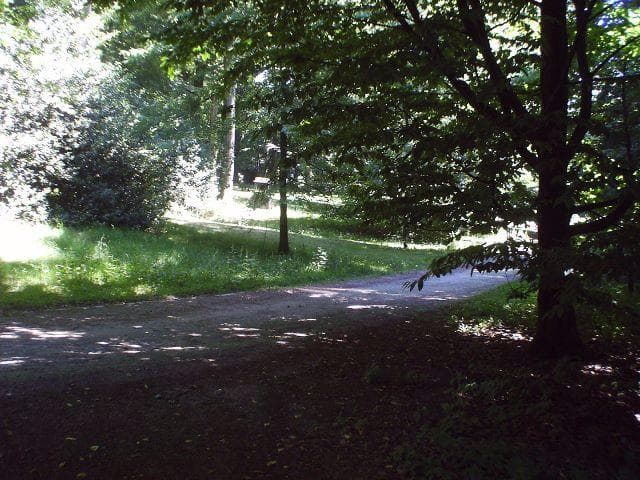 Footpath in the Park
