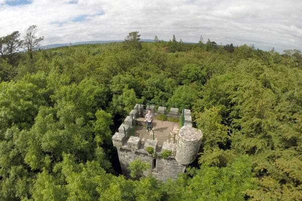 A Bird's eye view