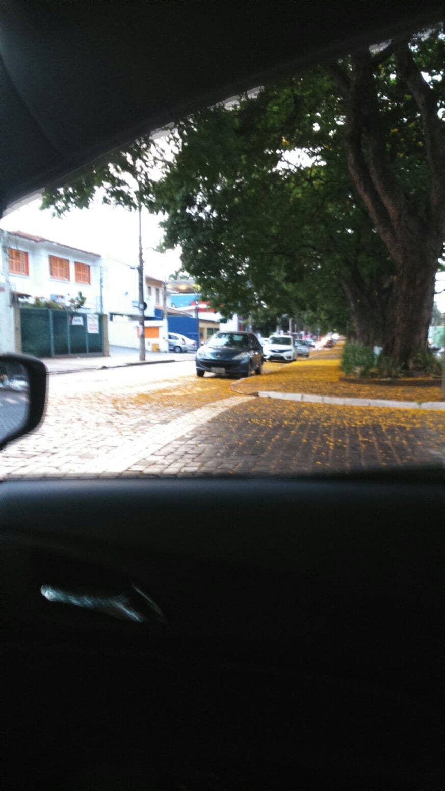 Birigui's Scenic Stretch