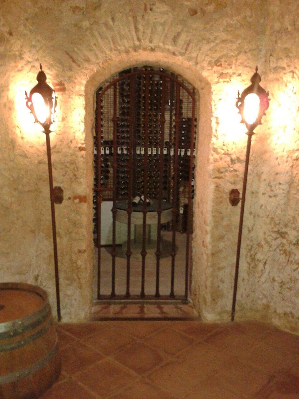 Wine Tasting Experience